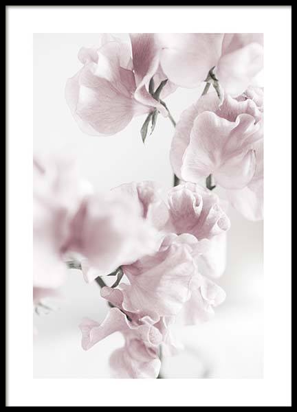 Summer Dream No1 Plakat w grupie Plakaty / Fotografia w Desenio AB (10405)