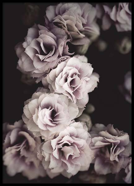 Bouquet De Fleurs Plakat w grupie Plakaty / Fotografia w Desenio AB (10433)