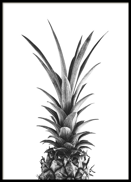 Pineapple B&W Plakat w grupie Plakaty / Czarno-białe w Desenio AB (10658)