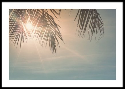 Sunset Palm Leaves Plakat w grupie Plakaty / Natura i krajobrazy w Desenio AB (10882)