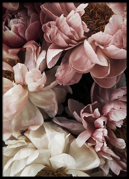 Flower Wall Plakat w grupie Plakaty / Fotografia w Desenio AB (10990)