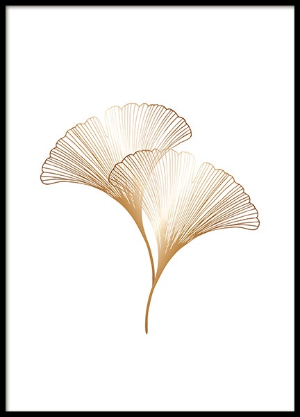 Ginkgo Leaves Gold Plakat w grupie Plakaty / Botanika w Desenio AB (11280)