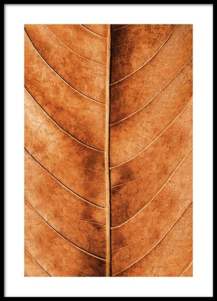 Autumn Leaf Plakat w grupie Plakaty / Natura i krajobrazy w Desenio AB (11575)
