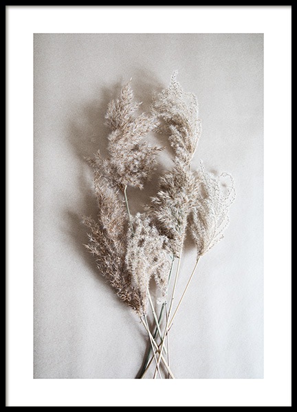 Bouquet of Autumn Reeds Plakat w grupie Plakaty / Fotografia w Desenio AB (11798)