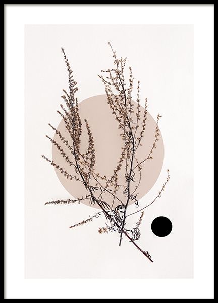 Dried Leaf No4 Plakat w grupie Plakaty / Botanika w Desenio AB (11805)
