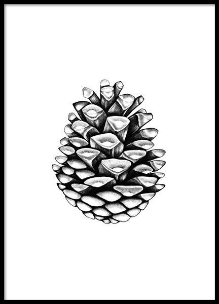 Pinecone Plakat w grupie Plakaty / Czarno-białe w Desenio AB (2274)