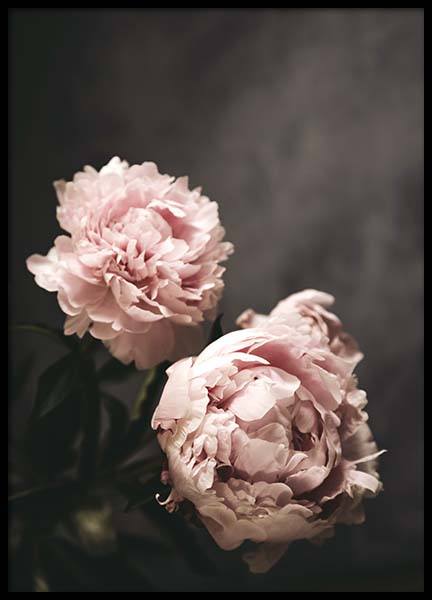 There's Beauty Plakat w grupie Plakaty / Fotografia w Desenio AB (2788)