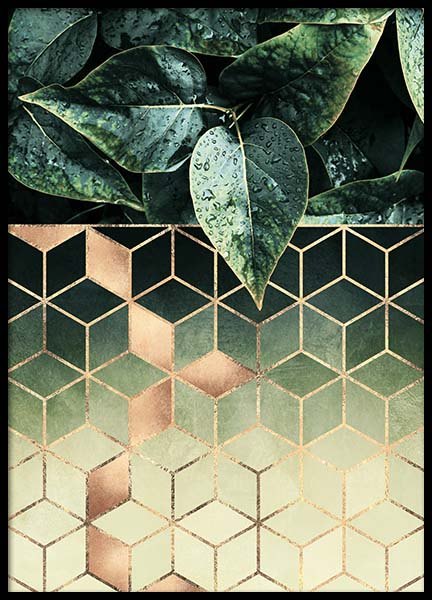 Leaves And Cubes Plakat w grupie Plakaty / Sztuka w Desenio AB (2813)