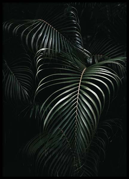 Dark Green Palm Leaves No1 Plakat w grupie Plakaty / Fotografia w Desenio AB (3772)