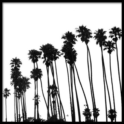 Venice Beach Palm Trees No1 Plakat w grupie Plakaty / Czarno-białe w Desenio AB (3776)