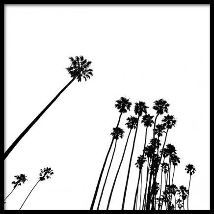 Venice Beach Palm Trees No2 Plakat w grupie Plakaty / Czarno-białe w Desenio AB (3777)