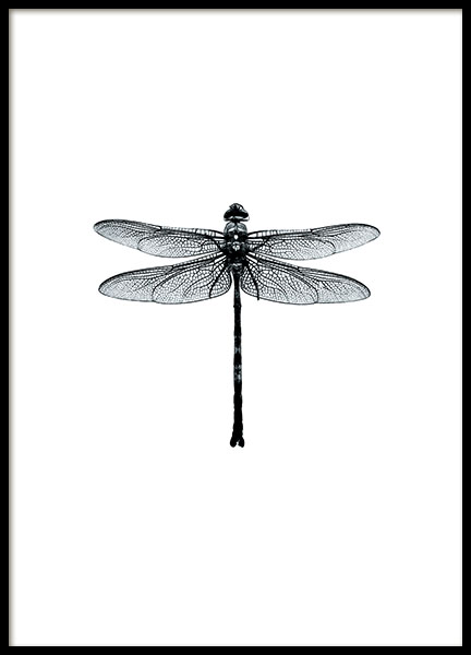 Dragonfly Black And White, Plakat w grupie Plakaty / Czarno-białe w Desenio AB (7568)