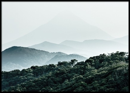 Forest Hills, Plakat w grupie Plakaty / Natura i krajobrazy w Desenio AB (8307)