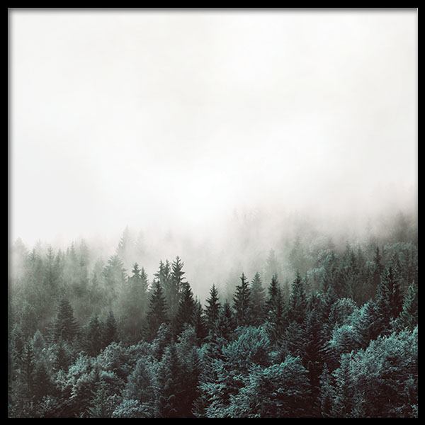 Tree Tops, Plakat w grupie Plakaty / Natura i krajobrazy w Desenio AB (8587)