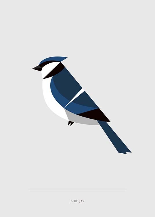 Blue Jay Plakat