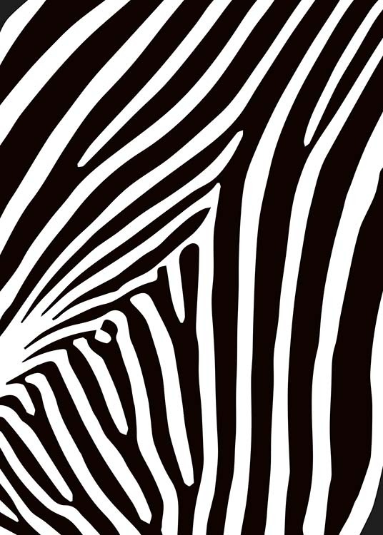 Zebra Stripes Plakat / Czarno-białe w Desenio AB (10154)