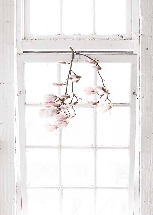 Flowers In The Window Plakat / Fotografia w Desenio AB (10182)
