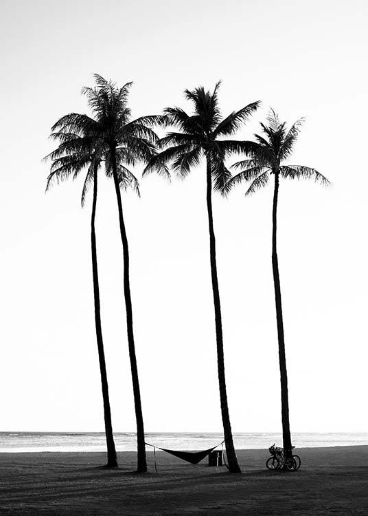  – Czarno-białe zdjęcie palm na plaży