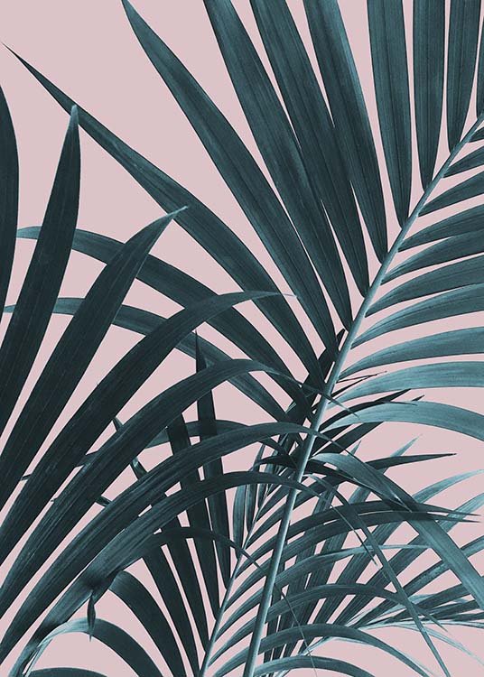 Pastel Palm No1 Plakat / Fotografia w Desenio AB (10388)
