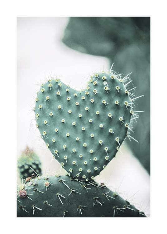 Heart Cactus Plakat