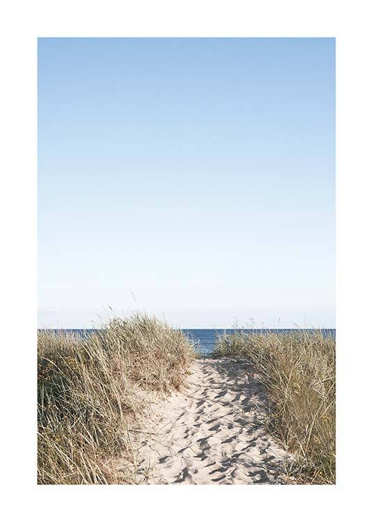 Path on beach Plakat
