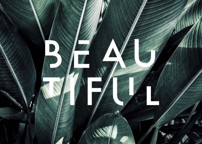 – Zdjęcie botaniczne przedstawiające liście palmy z napisem beautiful