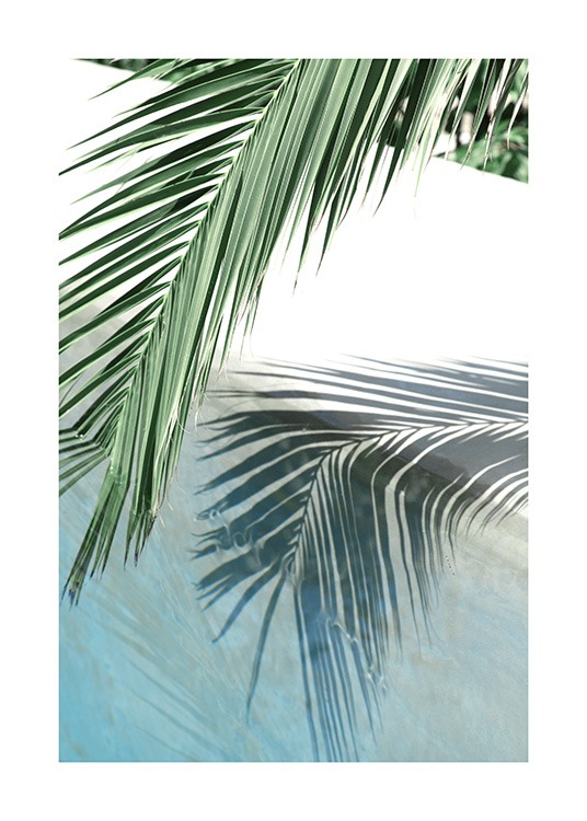 Poolside Palm Reflection Plakat / Fotografia w Desenio AB (10666)