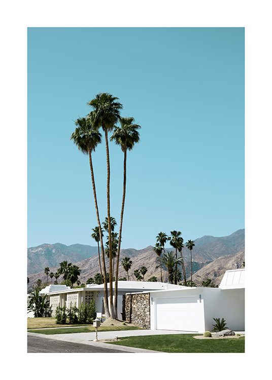 Street of Palm Springs Plakat / 70x100 cm w Desenio AB (10790)