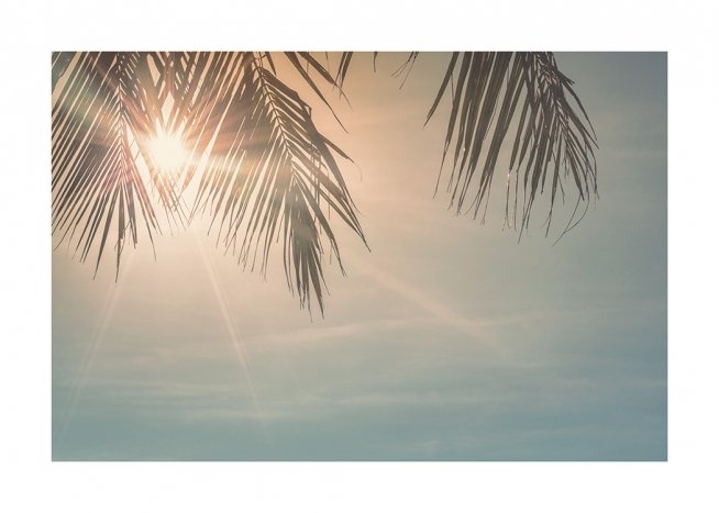Sunset Palm Leaves Plakat / Niebo w Desenio AB (10882)