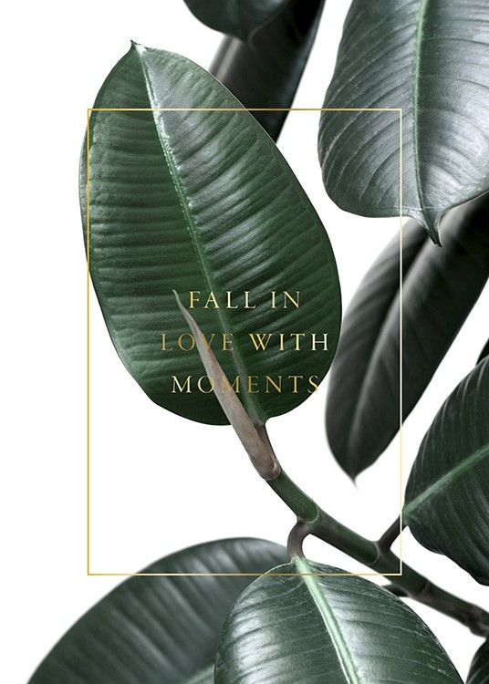  – Zdjęcie zielonych liści figowca ze złotym tekstem i złotym obramowaniem pośrodku