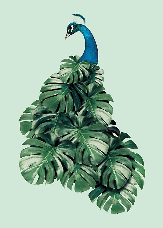 Monstera Bird Plakat