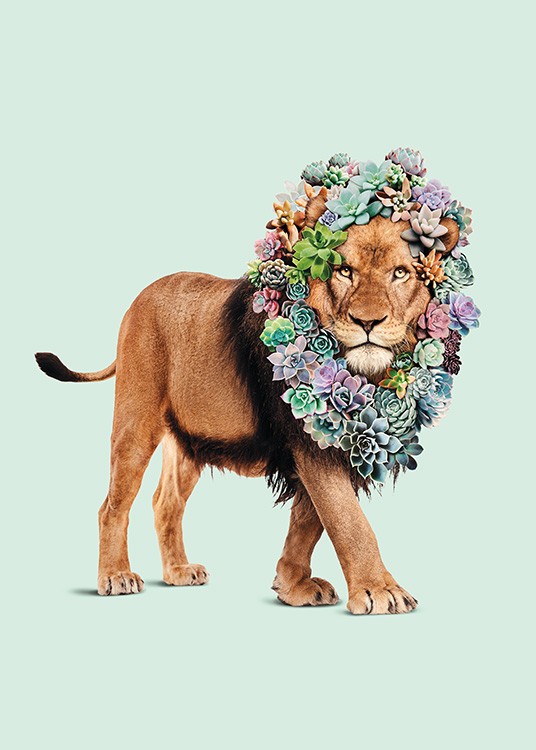 Succulent Lion Plakat