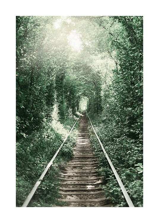 Forest Tunnel Plakat