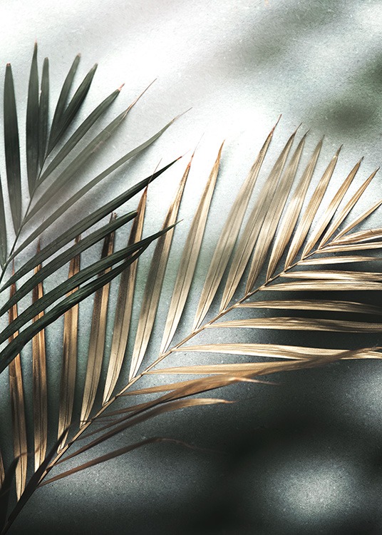 Golden Palm Plakat