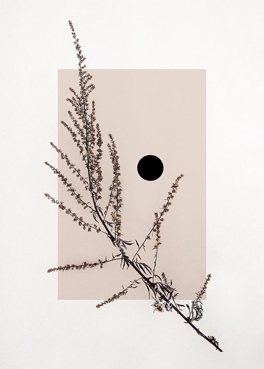 Plakat przedstawiający suszony liść na abstrakcyjnym tle z beżowym kwadratem i czarną kropką. Doskonałe połączenie natury z abstrakcyjną strukturą kształtów.