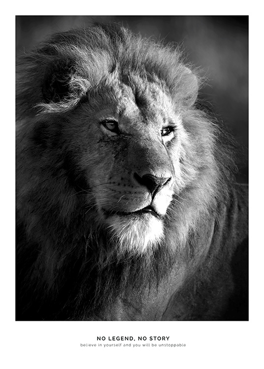 Lion Legend Plakat
