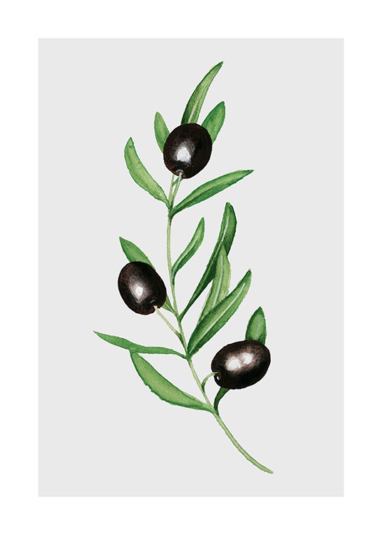 Olives Plakat