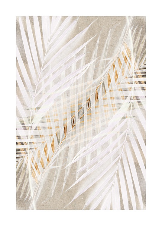 White Palm Leaves Plakat