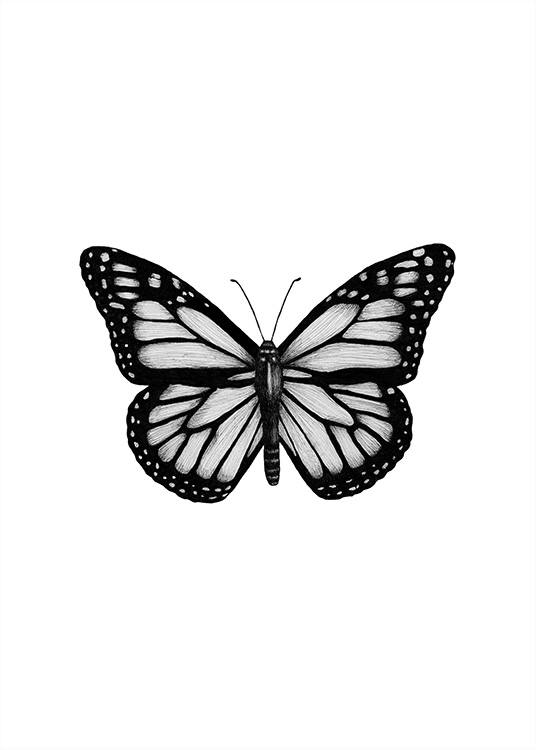 Butterfly Drawing Plakat