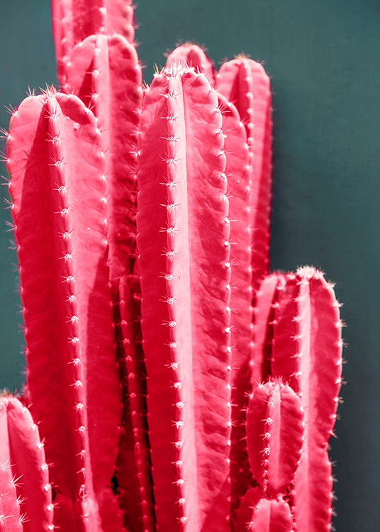Hot Pink Cactus Plakat