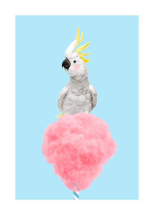 Cotton Candy Cockatoo Plakat