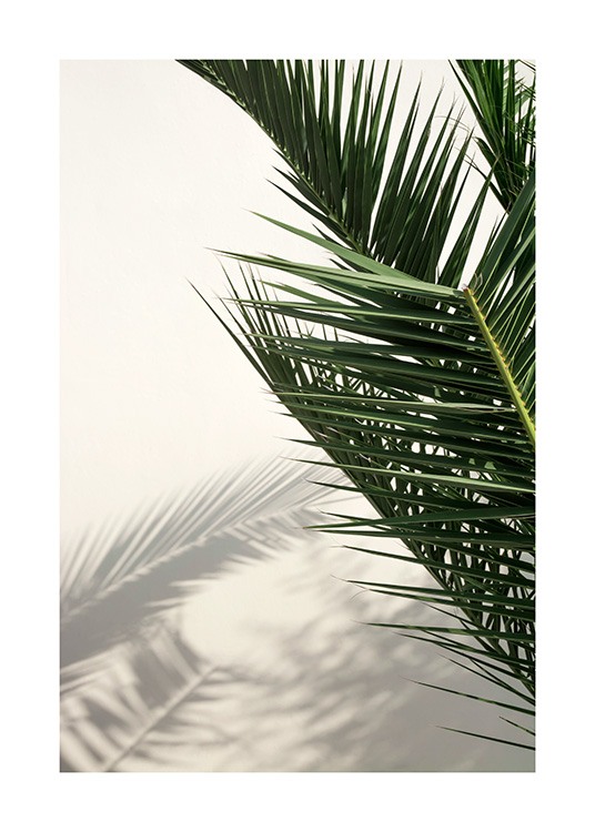 Palm Shadow Plakat