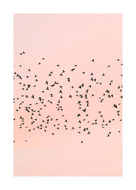 Pink Sunset Birds Plakat