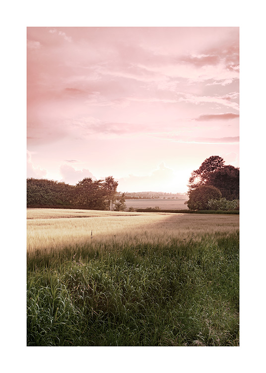 Plakat przyrodniczy z krajobrazem wiejskim podczas zachodu słońca, z różowym niebem w tle