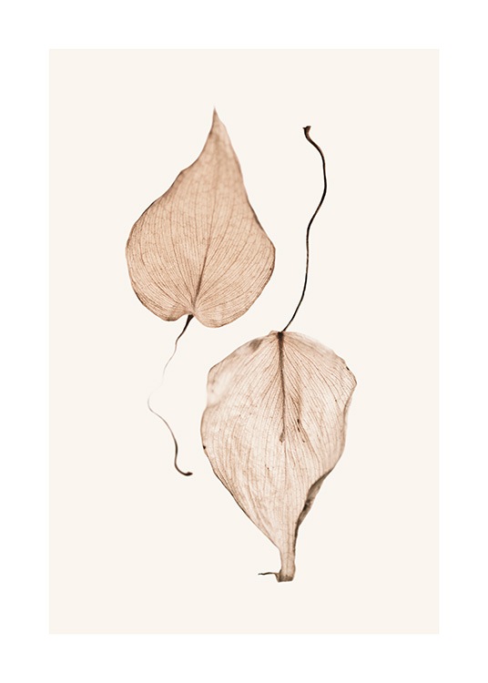 Two Dried Leaves Plakat