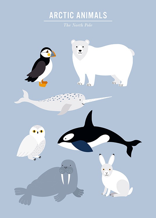  - Plakat dzieciecy z ilustracja graficzna w kolorze niebieskim, ze zwierzetami z Arktyki