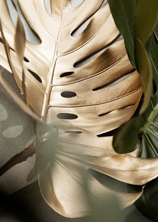 Golden Monstera leaves Plakat