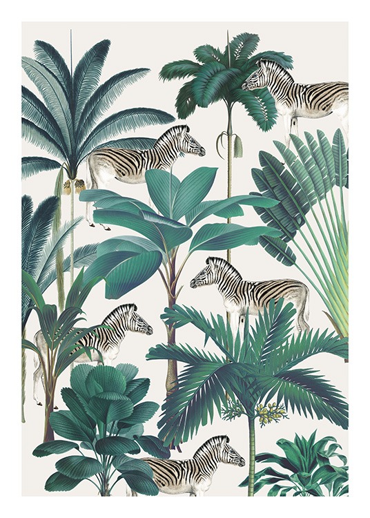 Royal Botanical Zebras Plakat / Dzikie zwierzęta w Desenio AB (13734)