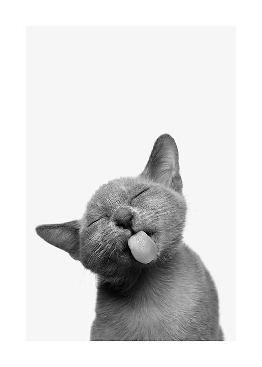 Cat Tongue Plakat / Zwierzęta w Desenio AB (13861)