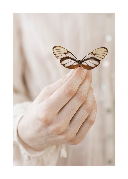 Butterfly Friend Plakat